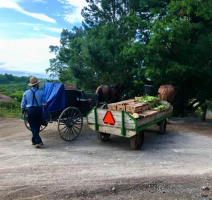 East TN Mennonites