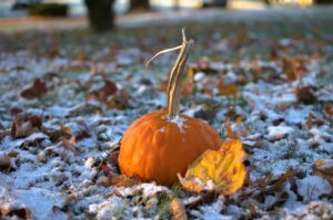 _DSC0359 - Naturally A Deal